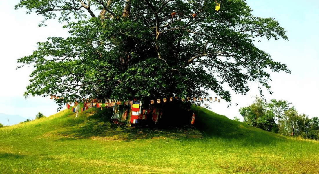 Ramgram Stupa Image