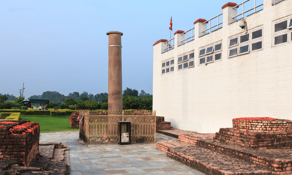 Ashoka Pillar Image