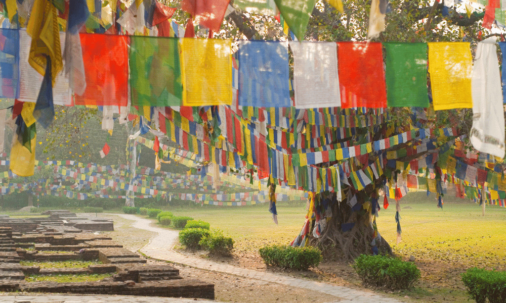 Lumbini Pilgrimage Image