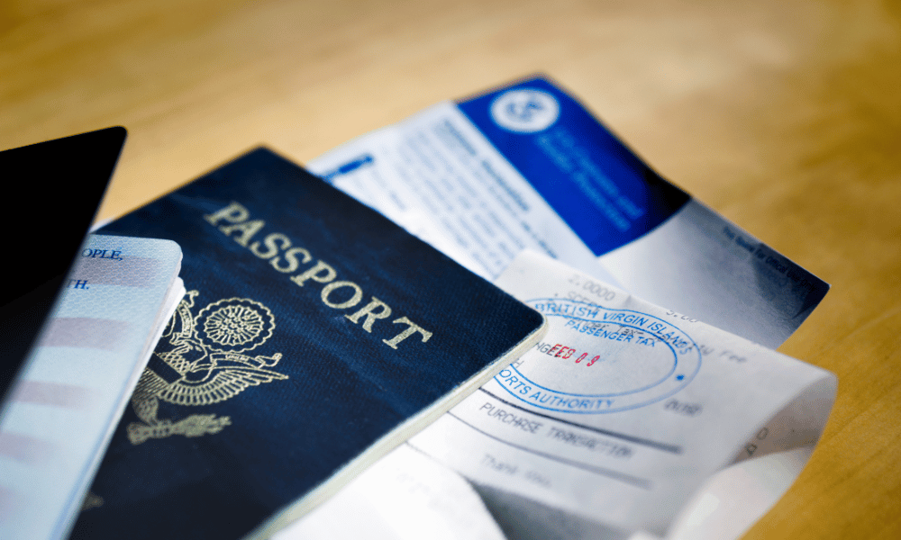 Visa and Documents Image