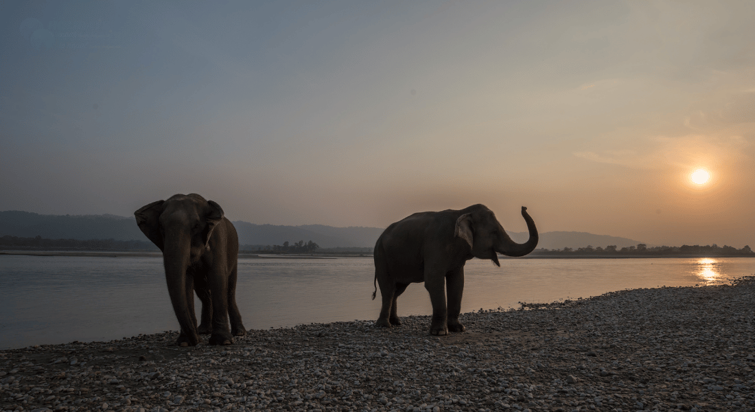 Chitwan National Park