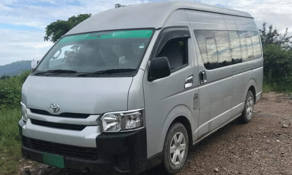 Kathmandu Buddhist Pilgrimage Sightseeing by Hiace Van