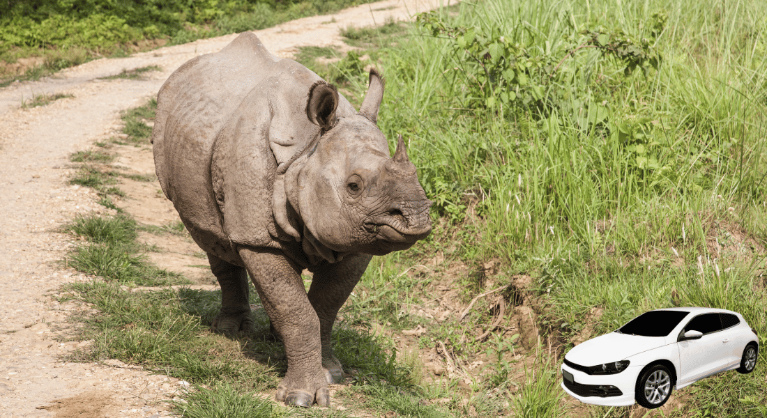 Kathmandu to Chitwan Drop by Car Image